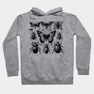 Insect Bug Collection 2024 Moth Stag Beetle Cicada Hoodie